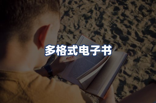 多格式电子书